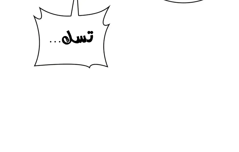 الصفحة 26 من 146