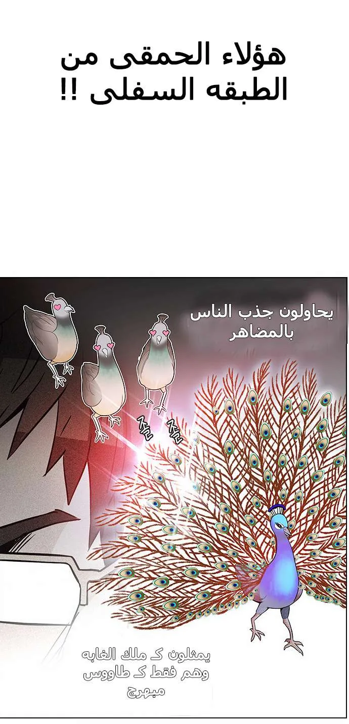 الصفحة 8 من 61