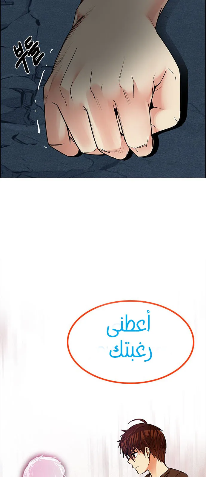 الصفحة 24 من 75