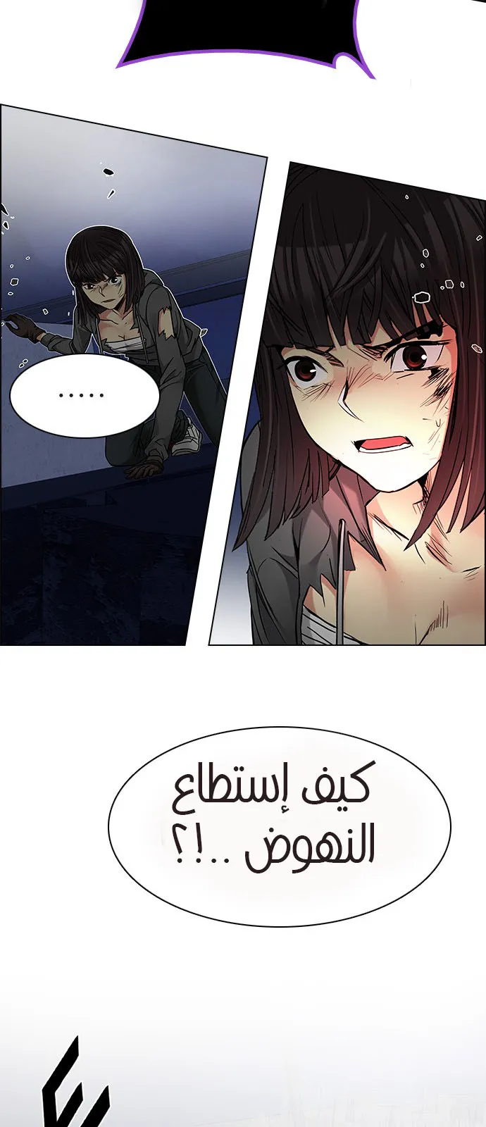 الصفحة 31 من 75