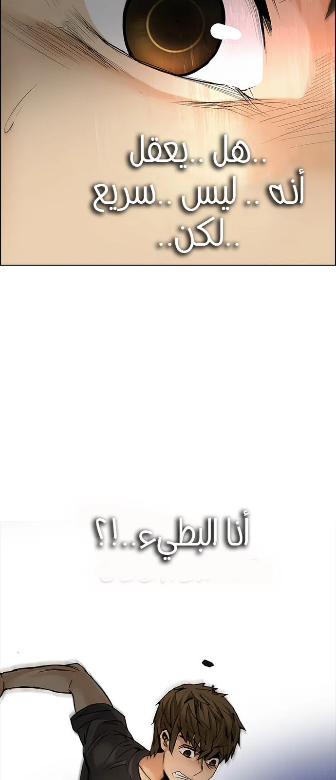 الصفحة 56 من 75