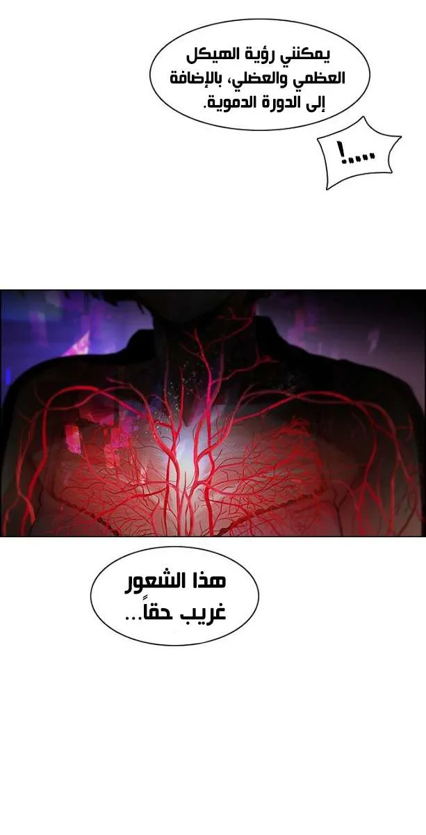 الصفحة 33 من 40