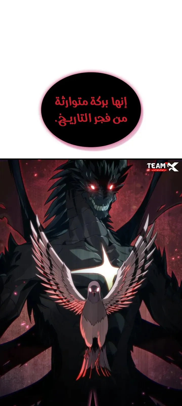 الصفحة 49 من 81