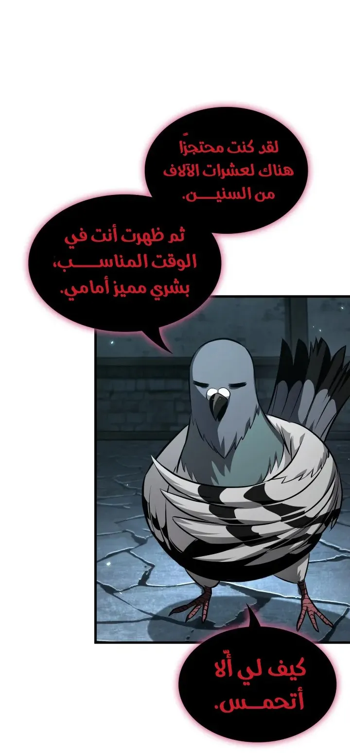 الصفحة 41 من 81