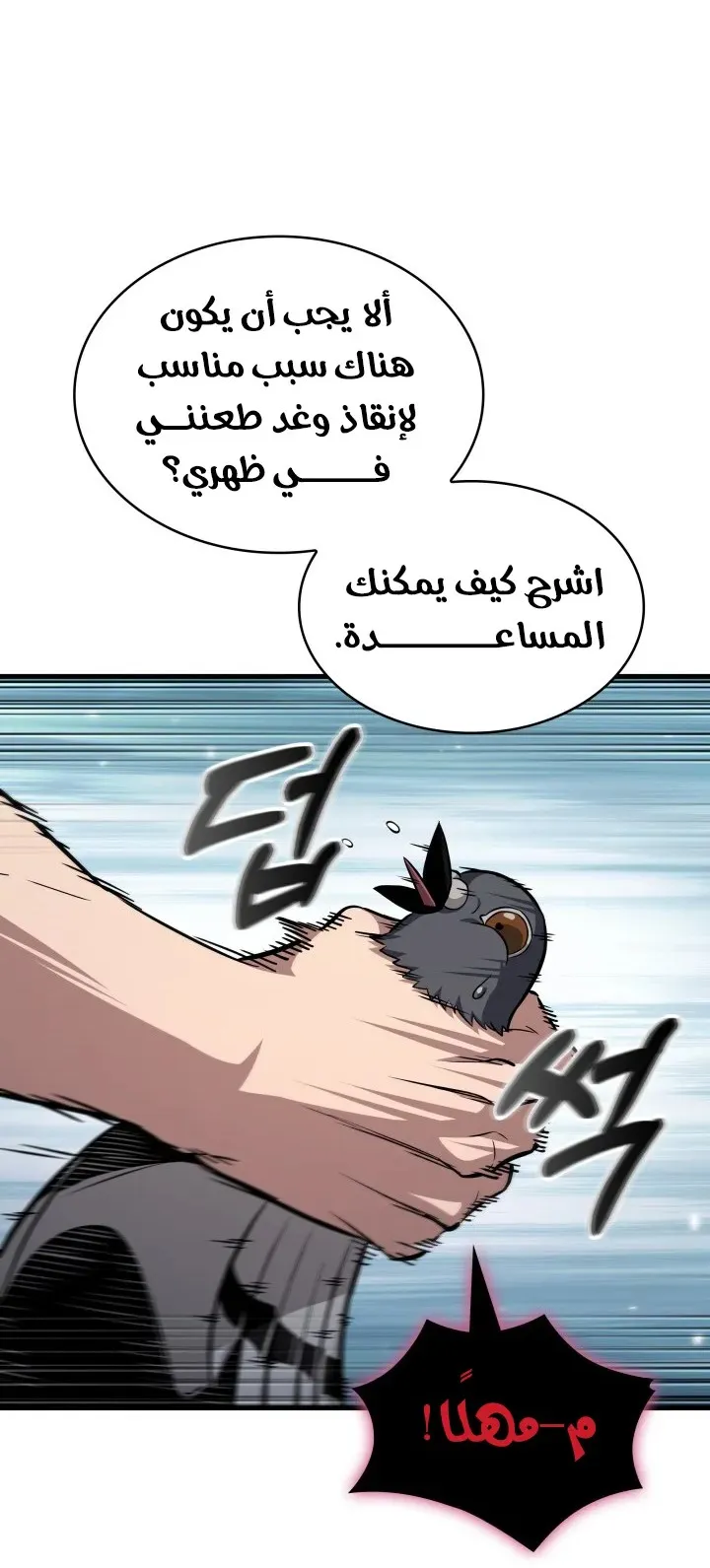 الصفحة 47 من 81