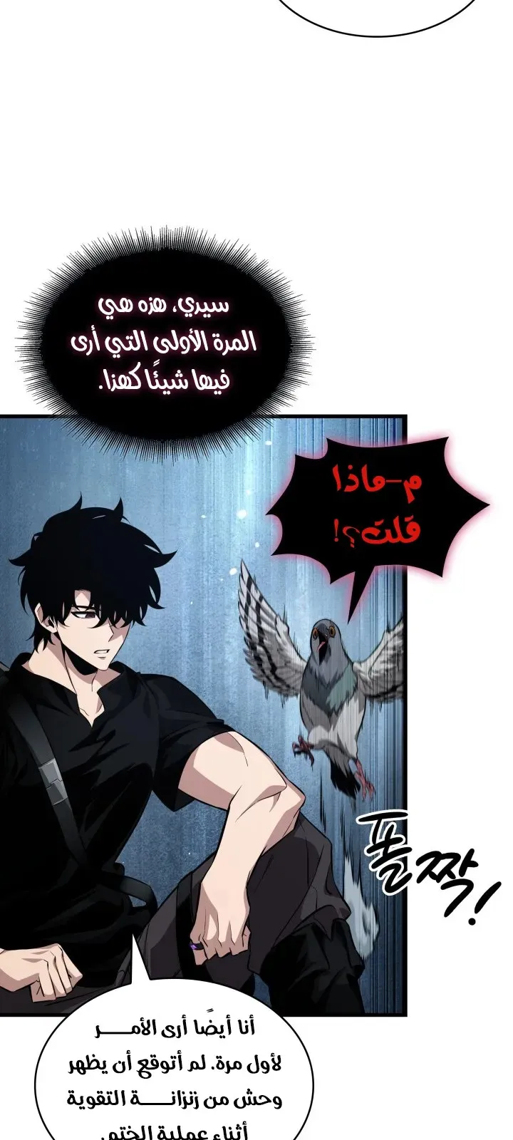 الصفحة 22 من 81