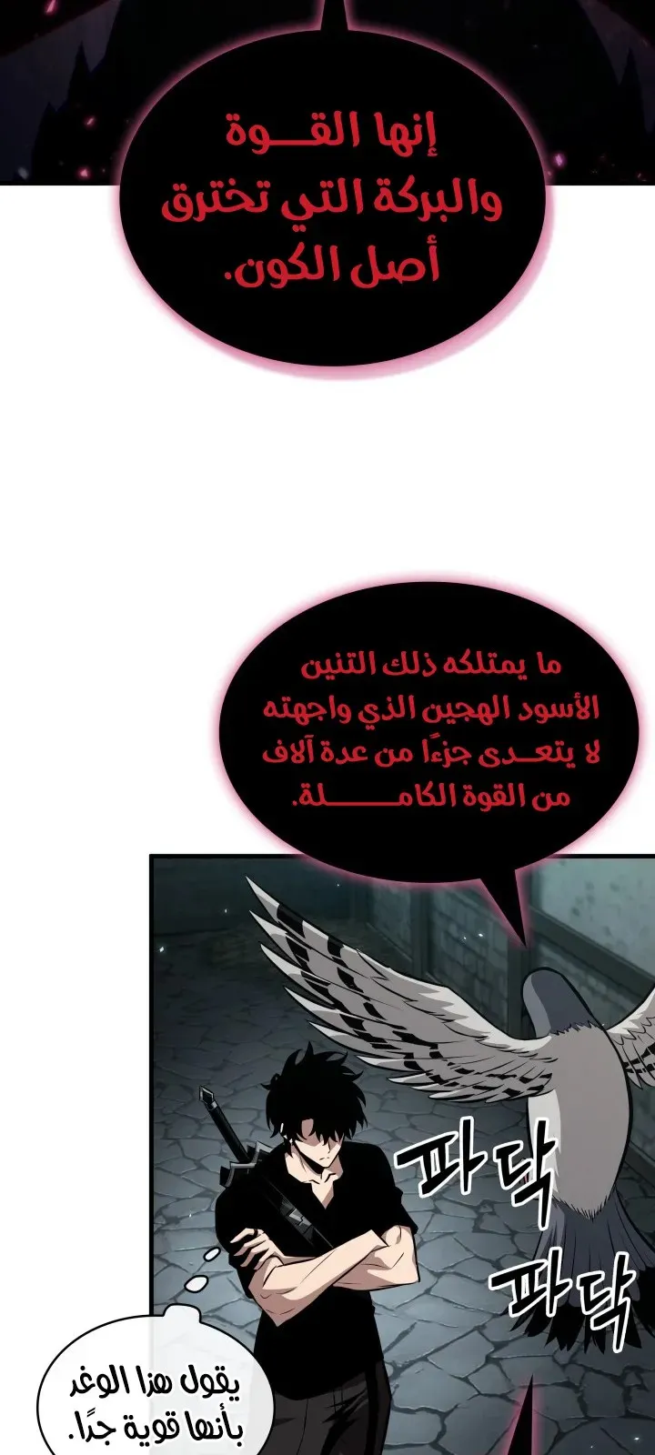 الصفحة 50 من 81
