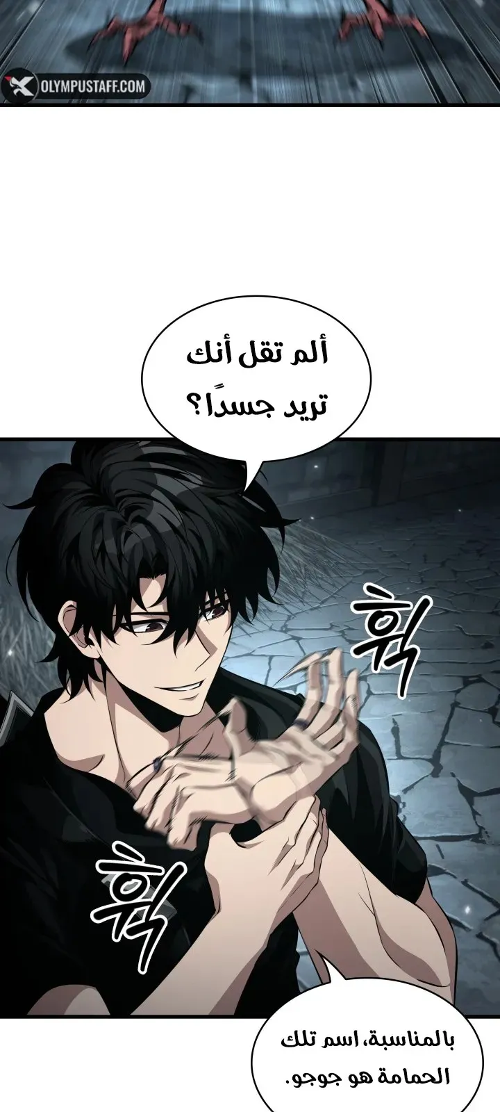 الصفحة 21 من 81
