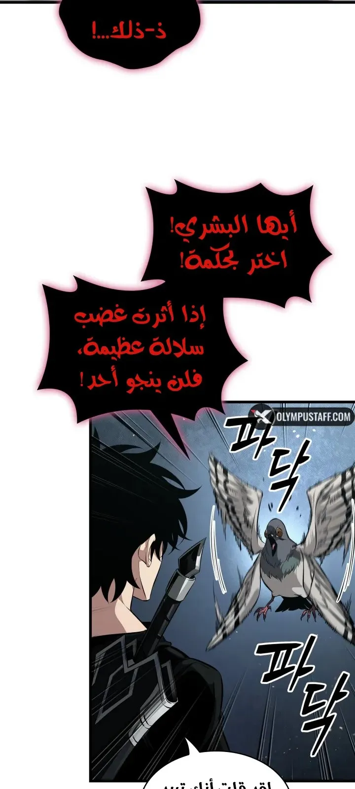 الصفحة 25 من 81