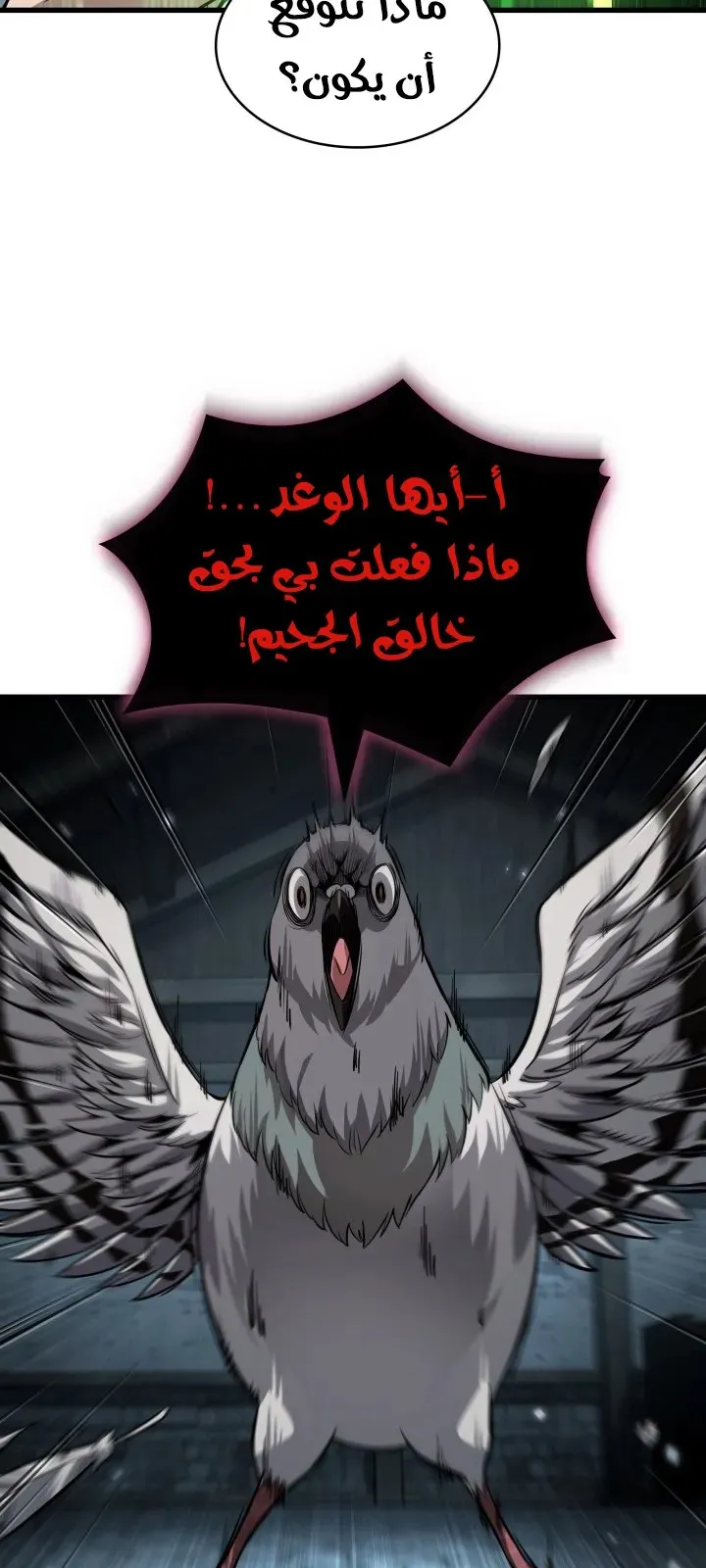 الصفحة 20 من 81