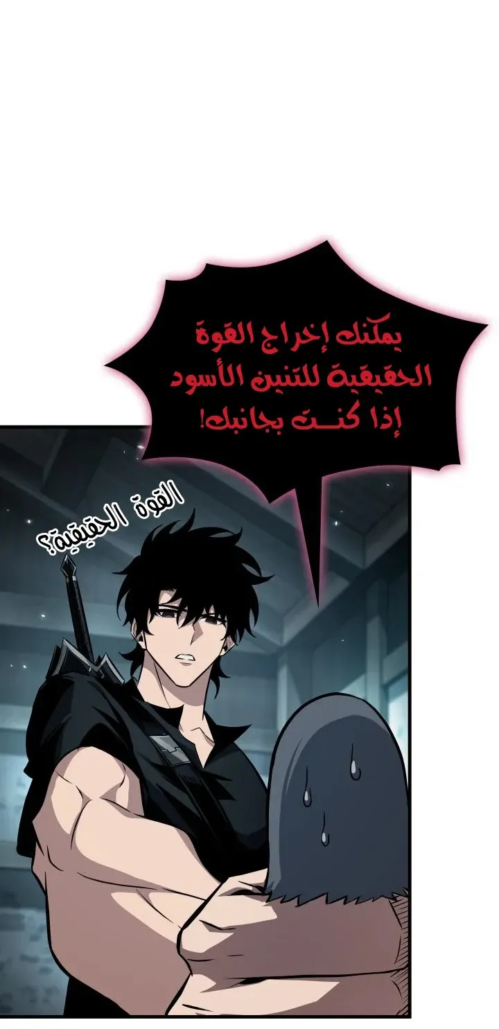 الصفحة 48 من 81