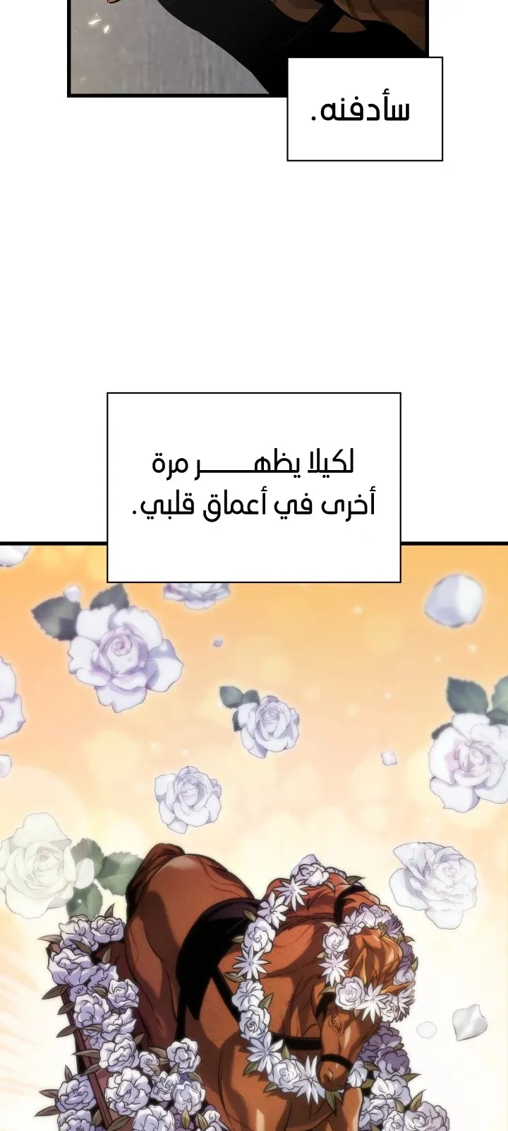 الصفحة 41 من 108