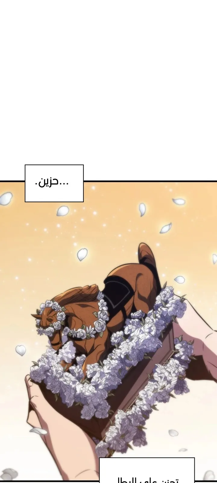 الصفحة 20 من 108