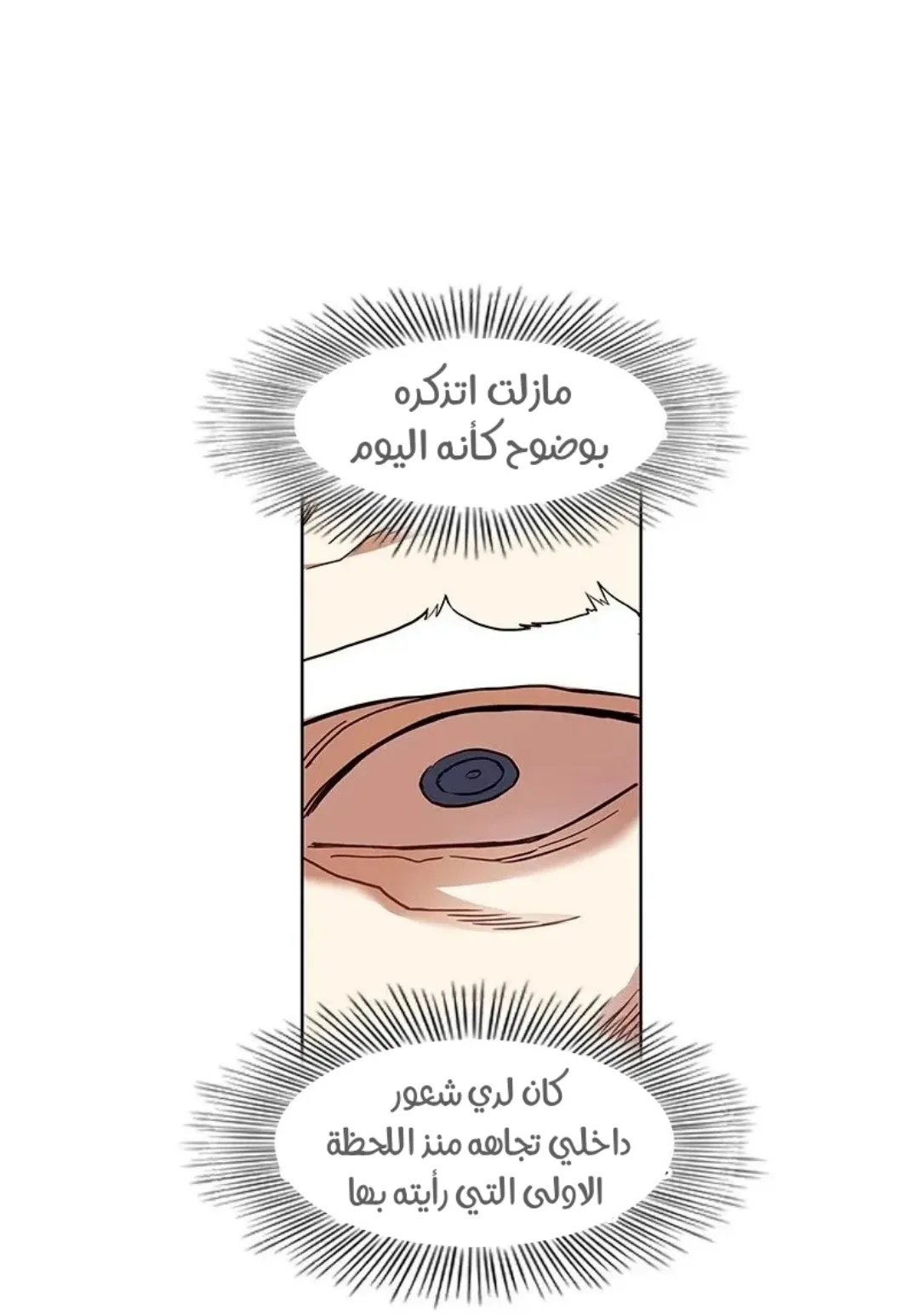 الصفحة 96 من 149