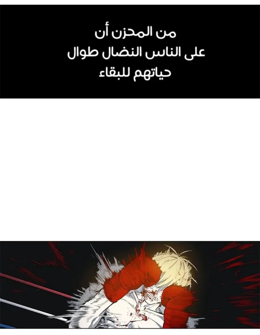 الصفحة 25 من 149