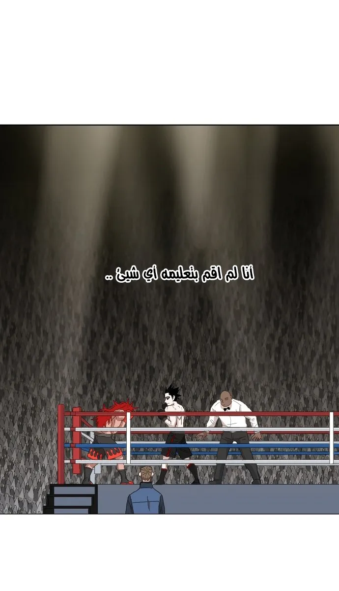 الصفحة 41 من 75