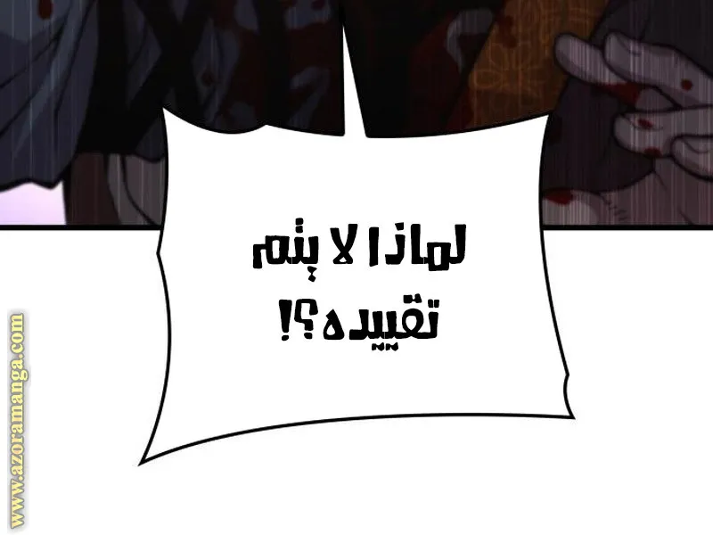 الصفحة 11 من 153