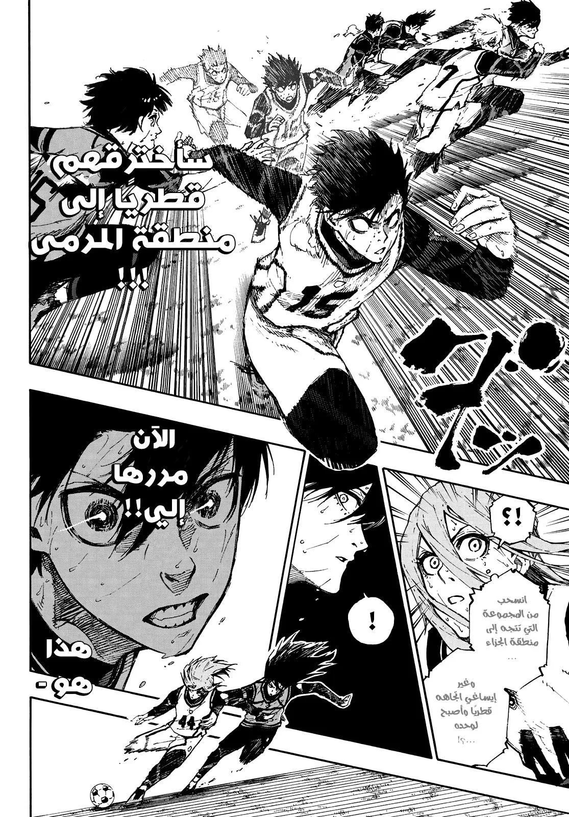 الصفحة 17 من 24