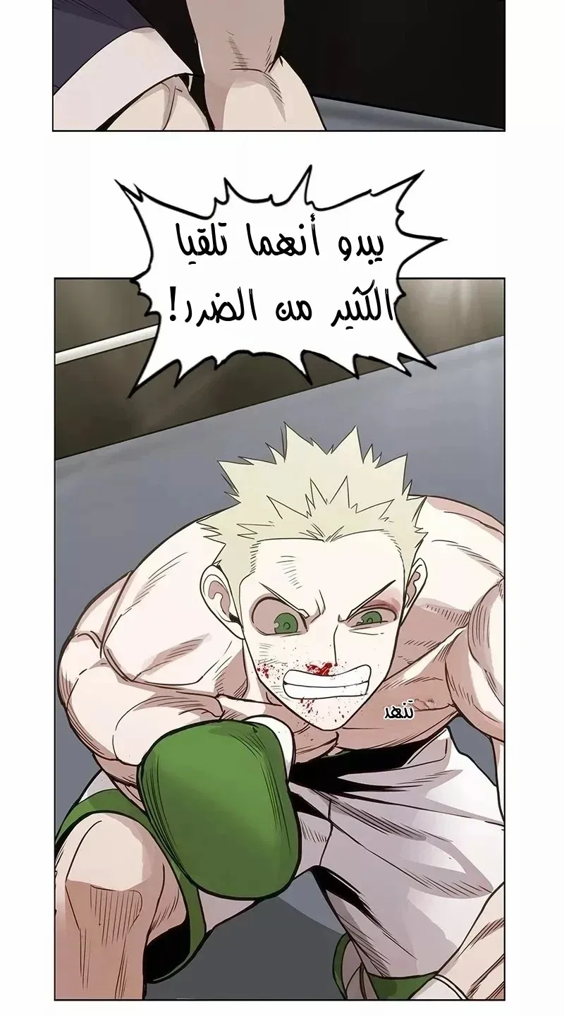 الصفحة 55 من 83