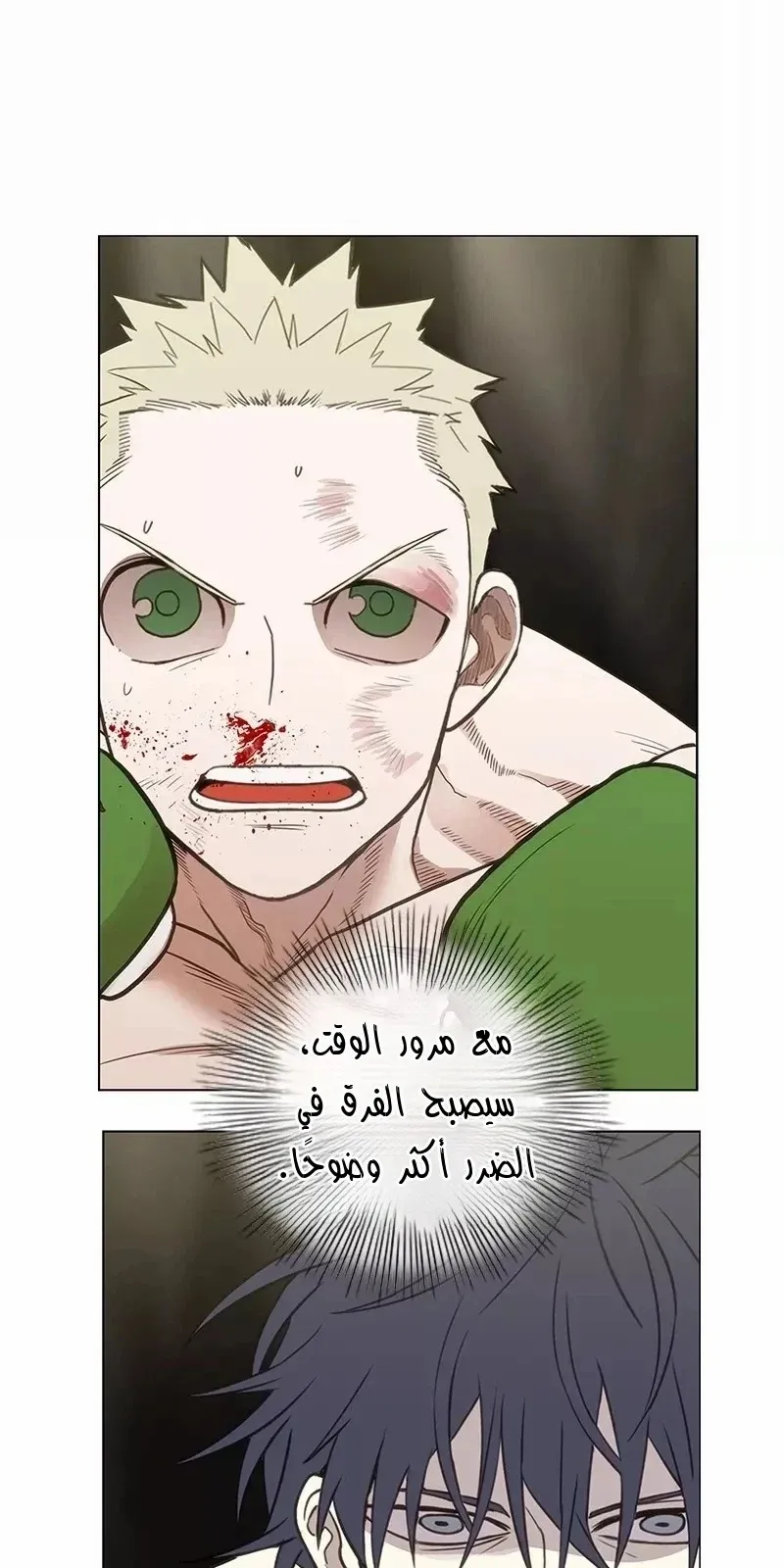 الصفحة 41 من 83
