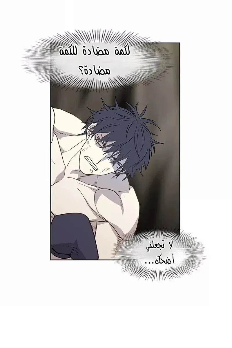 الصفحة 61 من 83