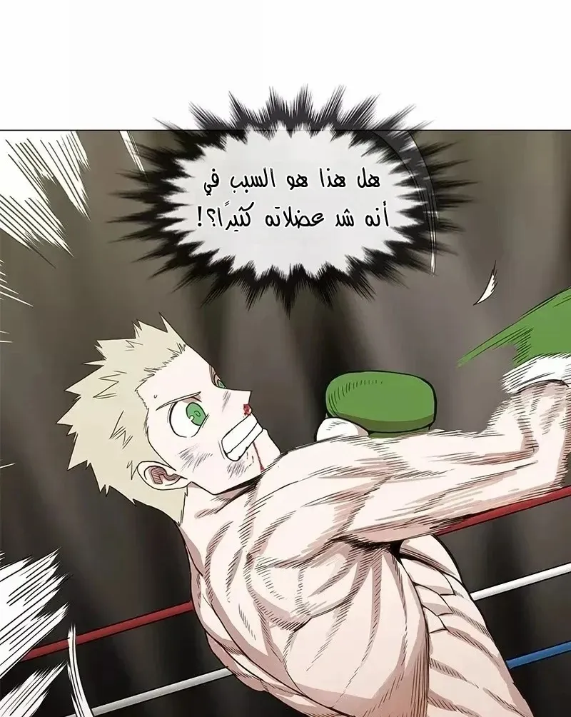 الصفحة 24 من 83