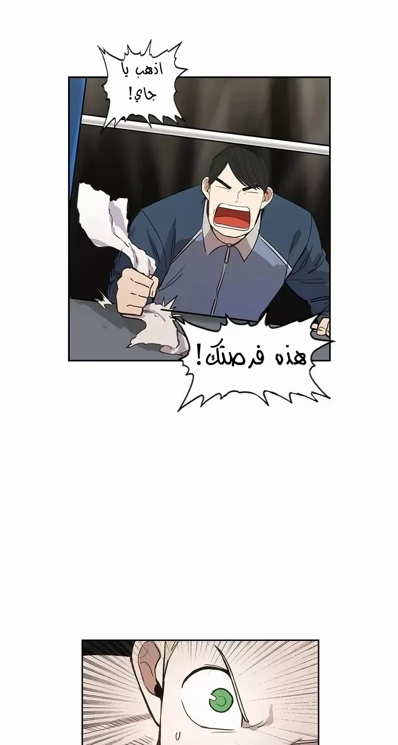 الصفحة 63 من 83