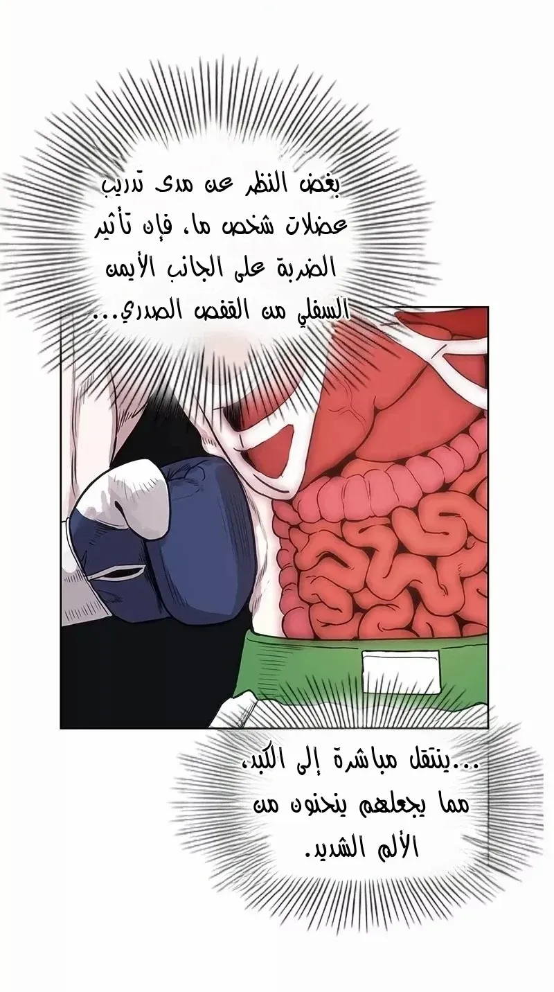 الصفحة 47 من 83