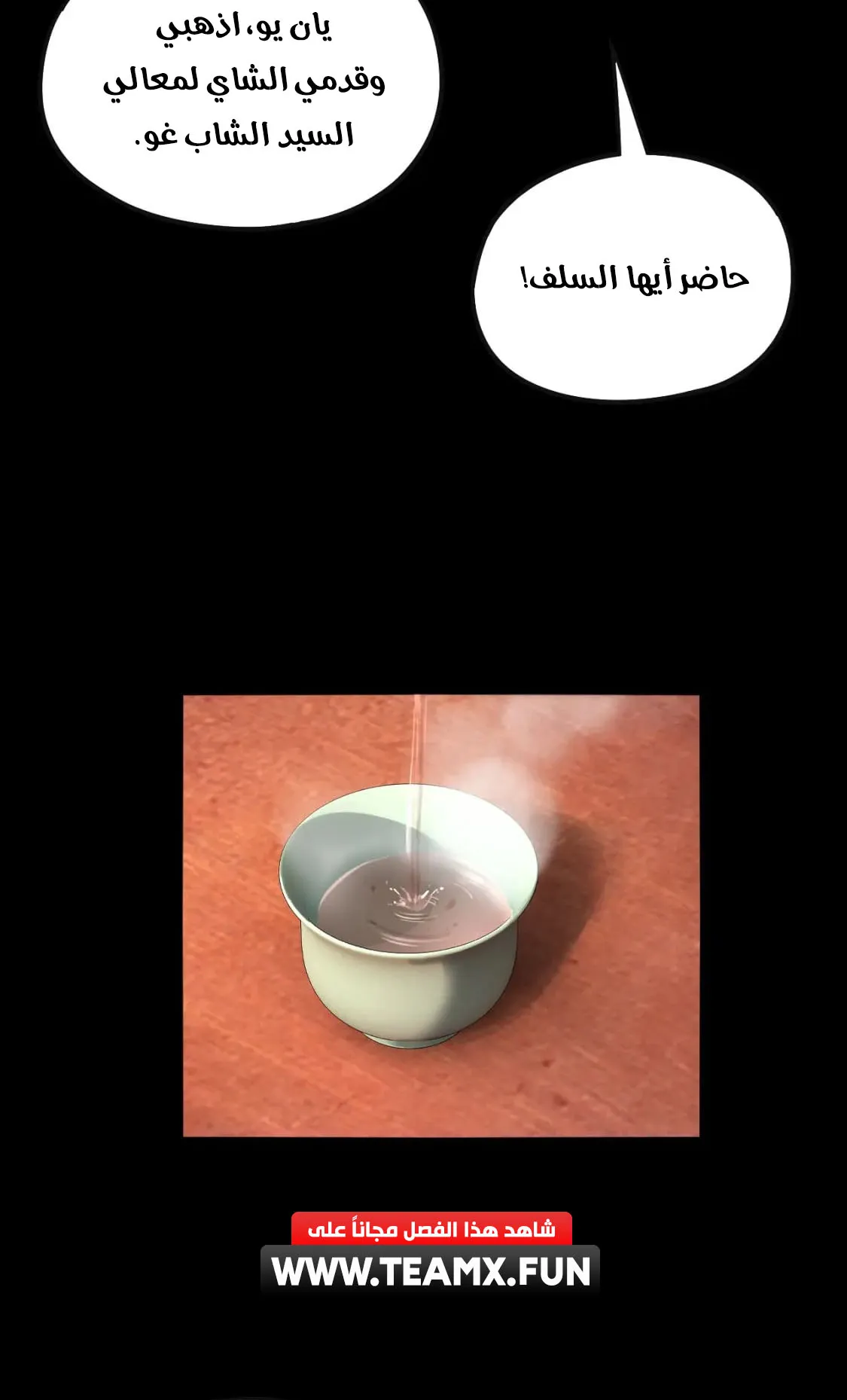 الصفحة 26 من 78