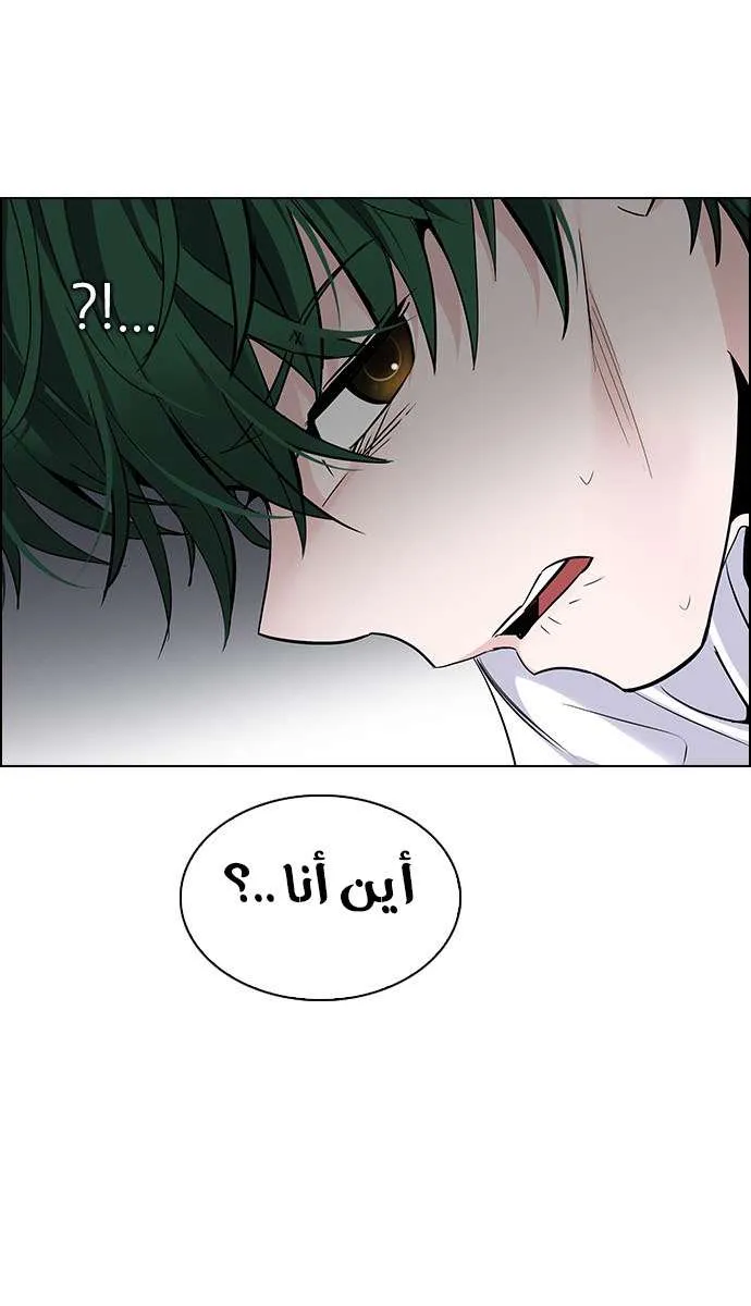 الصفحة 17 من 68