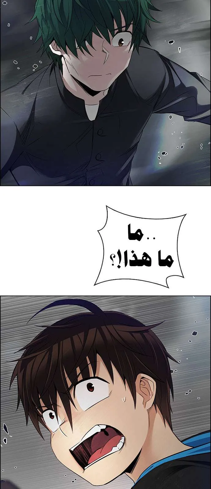 الصفحة 6 من 50
