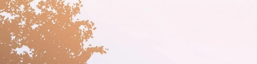 الصفحة 208 من 249