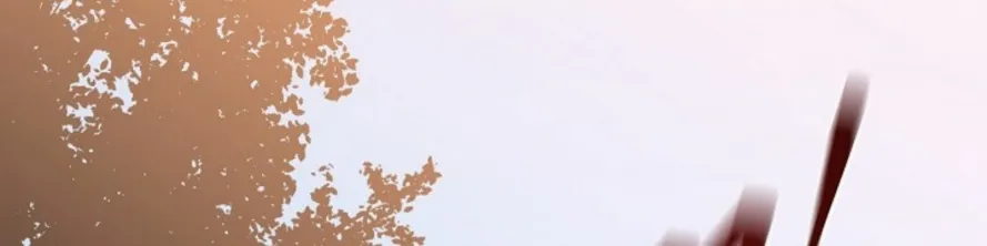 الصفحة 209 من 249