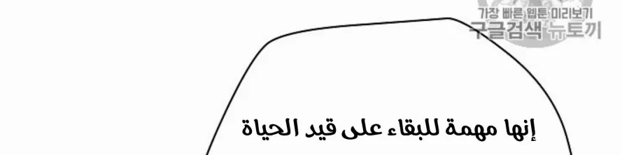 الصفحة 233 من 249