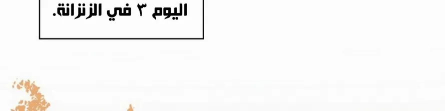 الصفحة 206 من 249