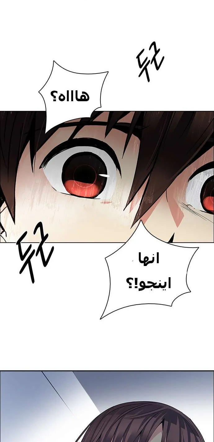 الصفحة 54 من 59