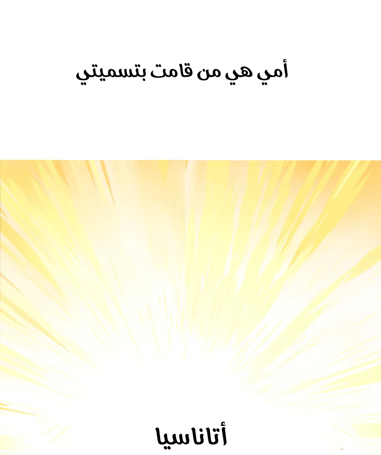 الصفحة 24 من 29