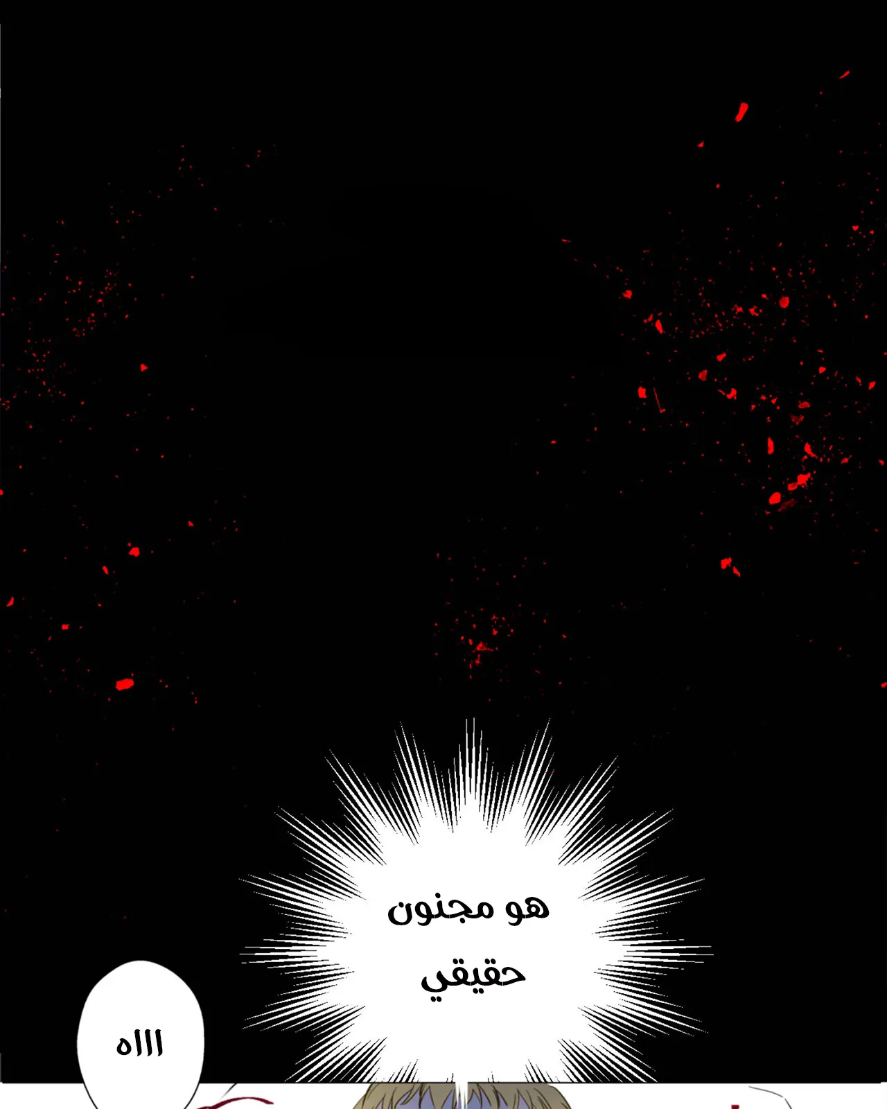 الصفحة 5 من 29