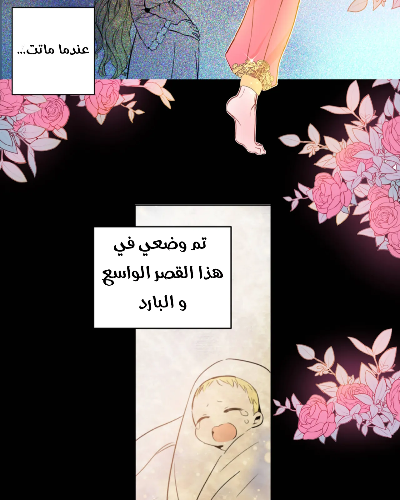 الصفحة 13 من 29