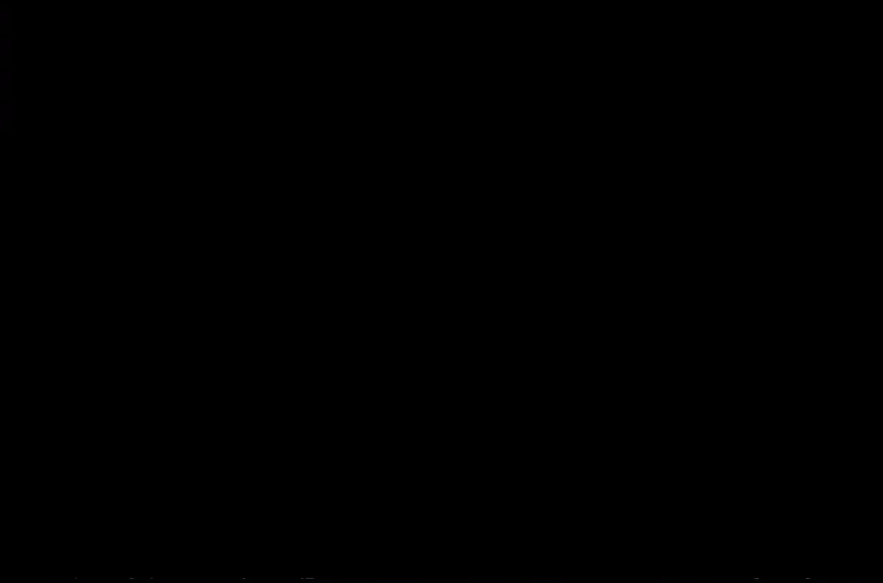 الصفحة 55 من 91
