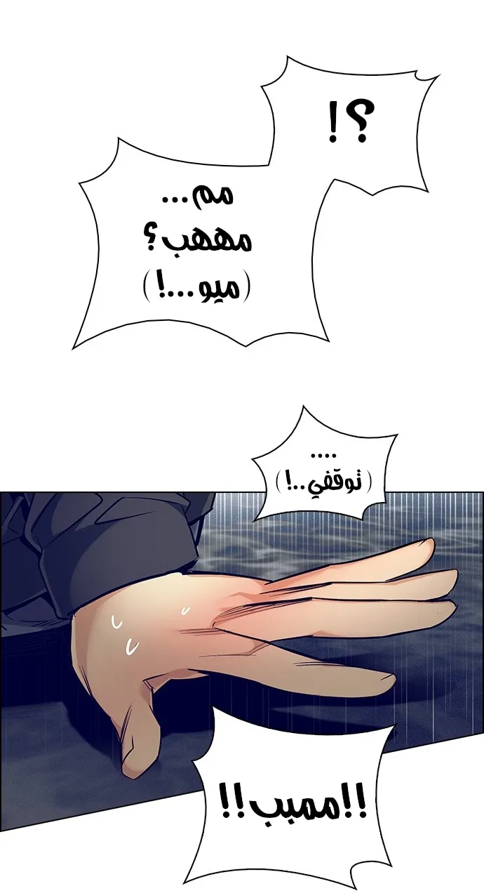 الصفحة 11 من 40