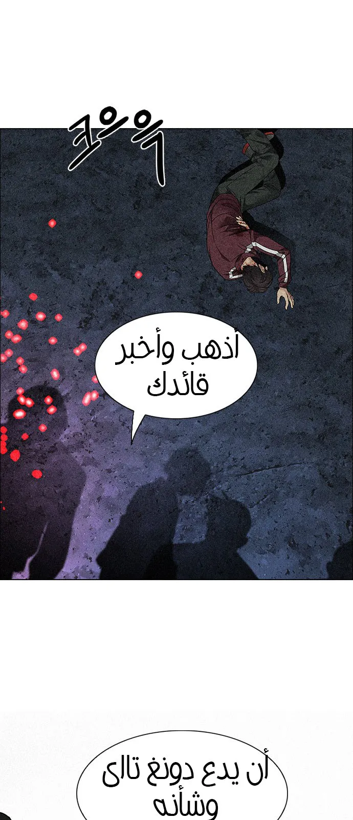 الصفحة 1 من 50