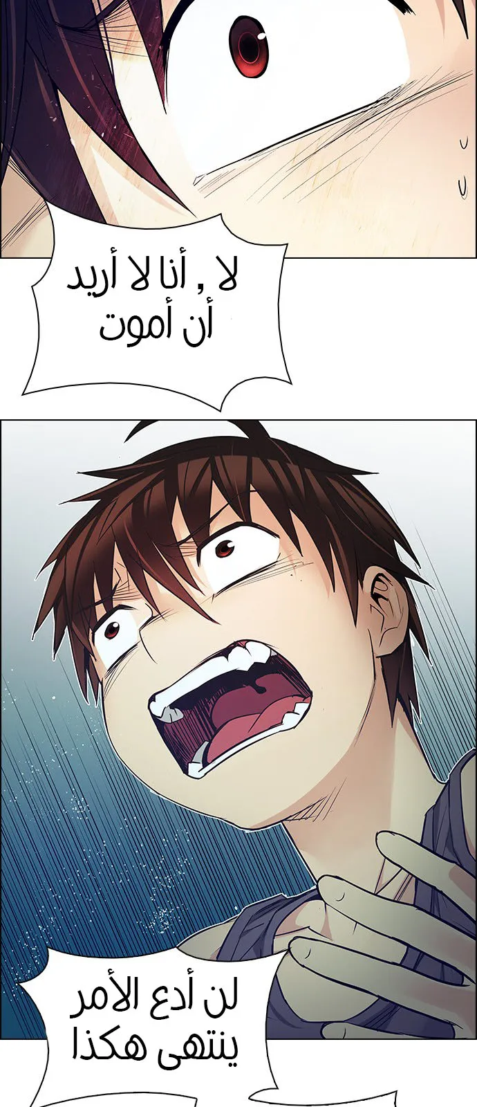 الصفحة 20 من 50