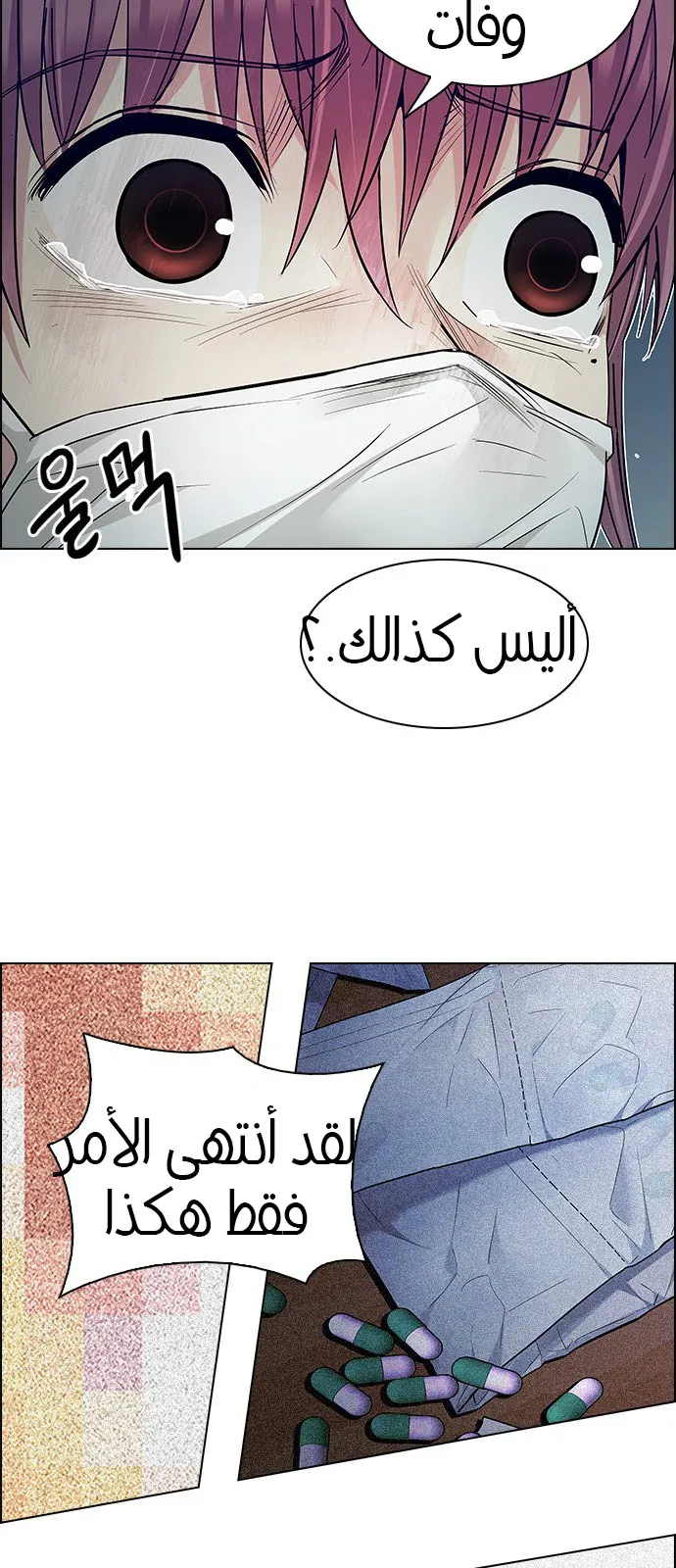 الصفحة 26 من 50