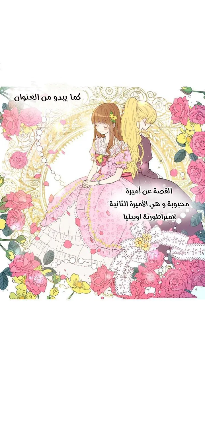 الصفحة 11 من 19