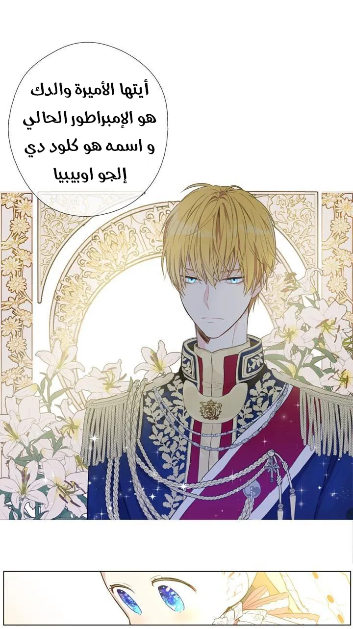 الصفحة 2 من 19