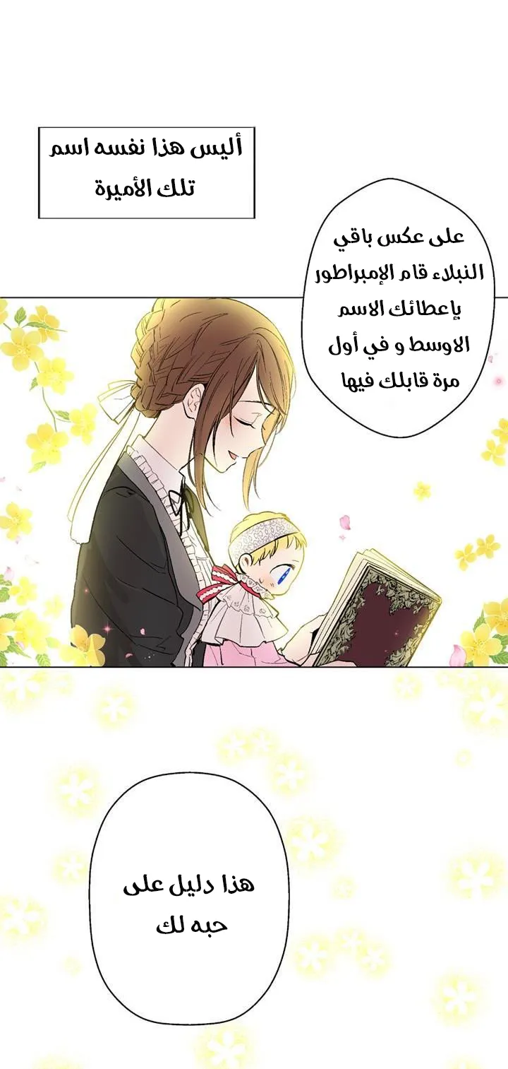 الصفحة 7 من 19