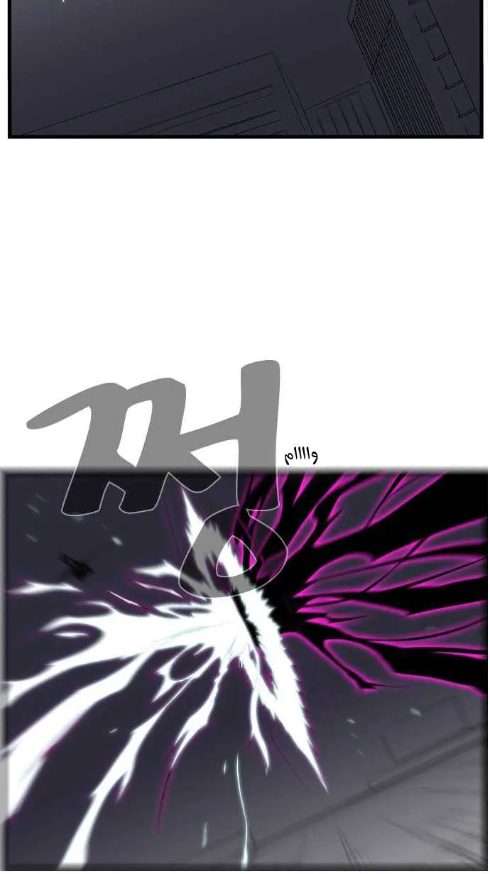الصفحة 5 من 31