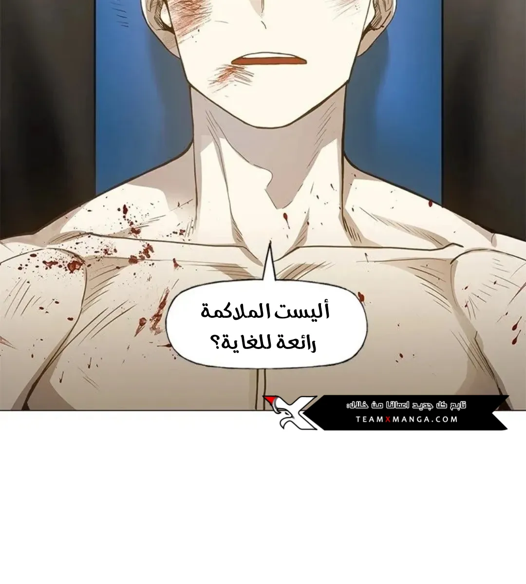 الصفحة 146 من 167