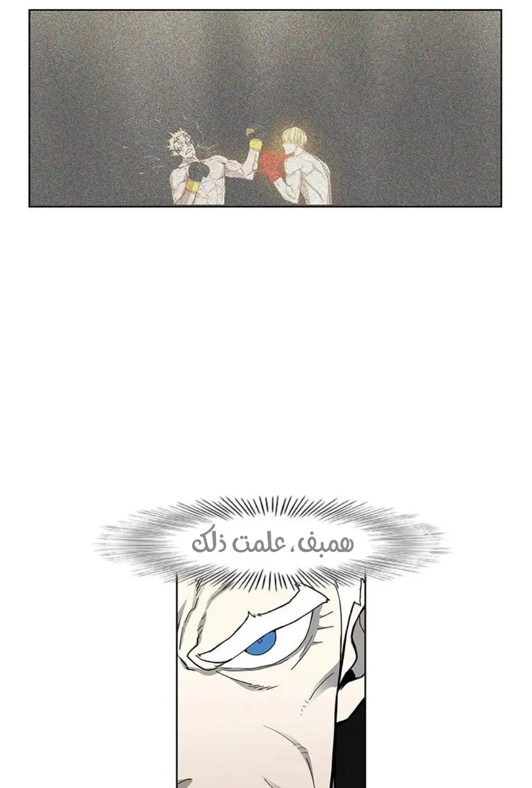 الصفحة 5 من 167